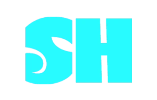 Étudiant en Bachelor Développement Web – Sheedan Hyman